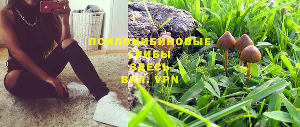 спайс Михайловск