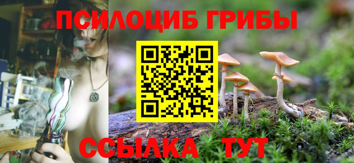 Галлюциногенные грибы прущие грибы  где можно купить наркотик  Новокубанск  Вход с VPN 
