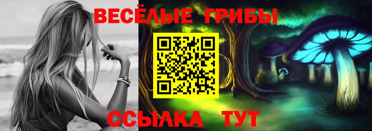 Псилоцибиновые грибы прущие грибы Новокубанск